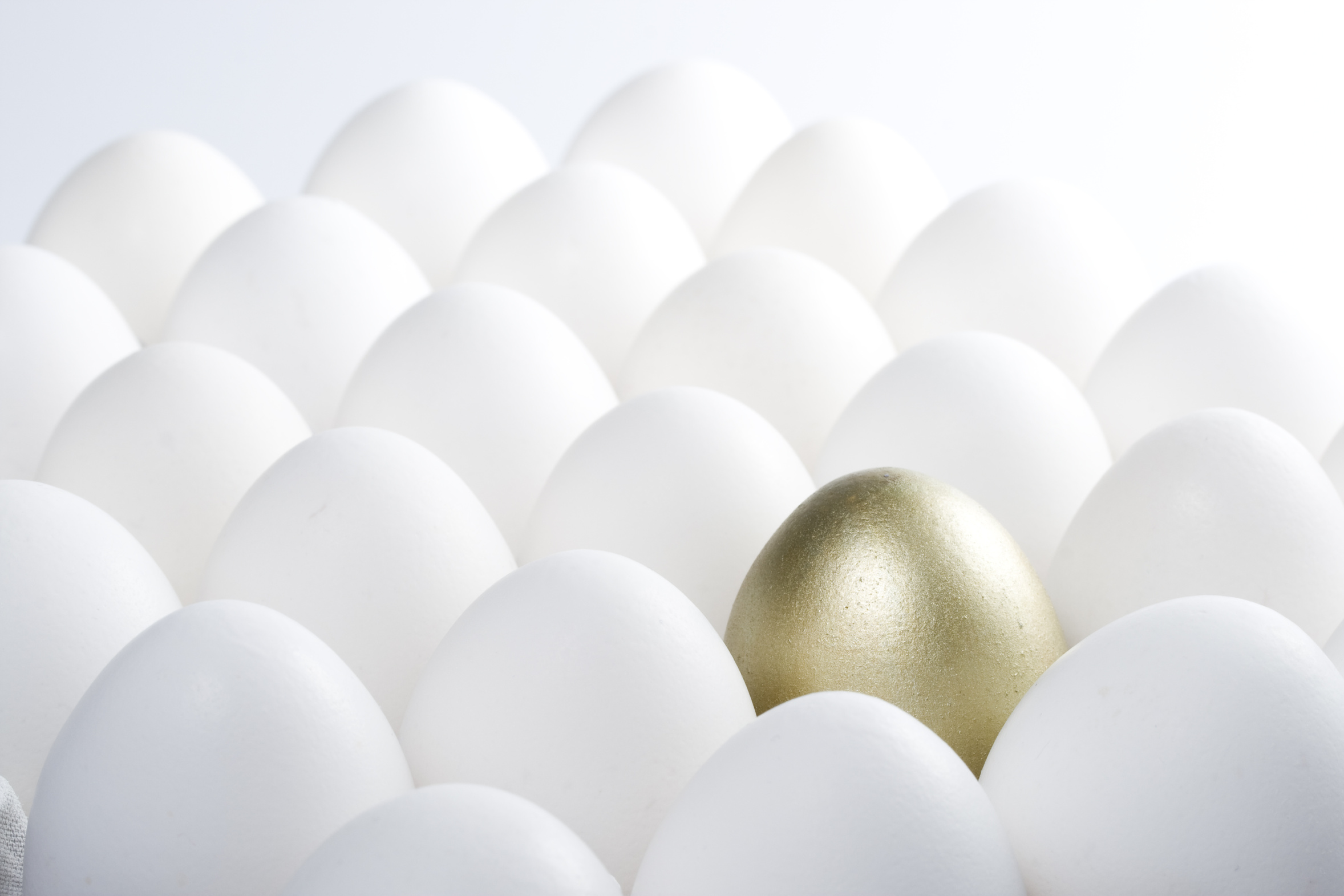 safety compliance or safety culture?