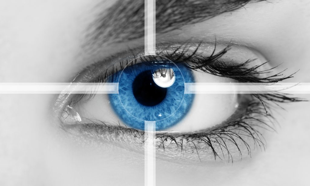 The Role of "Vision" When Leading Safety-Culture Change