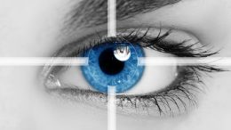 The Role of "Vision" When Leading Safety-Culture Change