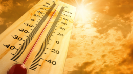 Summer Safety