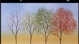 10 Things Leaders Absolutely Must Know to Plan for Sustainable Safety Culture Change