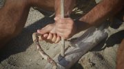 A Survival Guide for Keeping Your Safety Culture Alive
