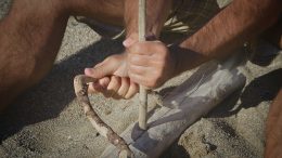 A Survival Guide for Keeping Your Safety Culture Alive
